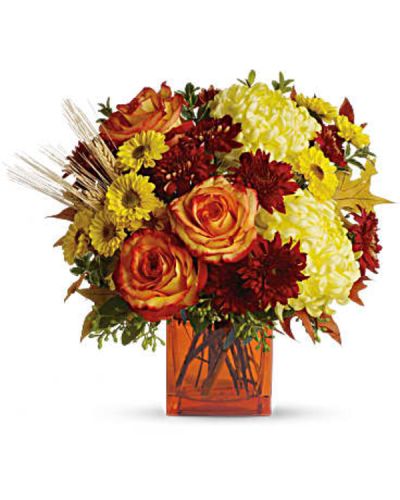 <p>Bring a bright contemporary touch to this glorious season with a chic fall bouquet in a stylish orange cube vase. The stylish contemporary arrangement includes yellow cushion spray chrysanthemums, bi-color orange roses, rust cushion spray chrysanthemums, yellow disbud chrysanthemum and yellow Viking spray chrysanthemums accented with assorted greenery.</p>