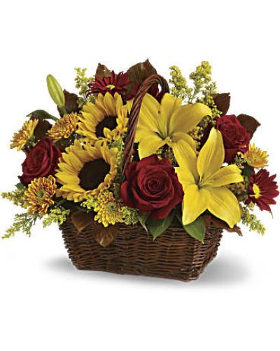 <p>Designed to brighten spirits and bring a touch of fall indoors, this rustic arrangement is like sending a basket full of sunshine. Hand-arranged in a charming dark-handled basket, this bouquet features a vibrant mix of yellow Asiatic lilies, cheerful sunflowers, gold cushion chrysanthemums, burgundy daisy mums, and yellow solidaster.</p>