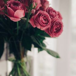 Show them your love with flowers