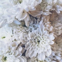 Send your sympathy and condolences with flowers